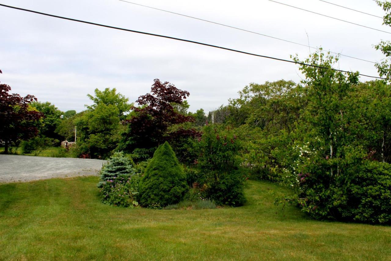 Mackenzie House B&B By Elevate Rooms Port Hawkesbury Εξωτερικό φωτογραφία